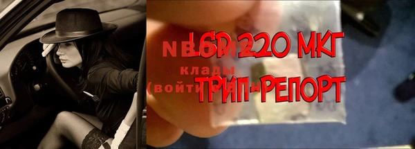 каннабис Белокуриха
