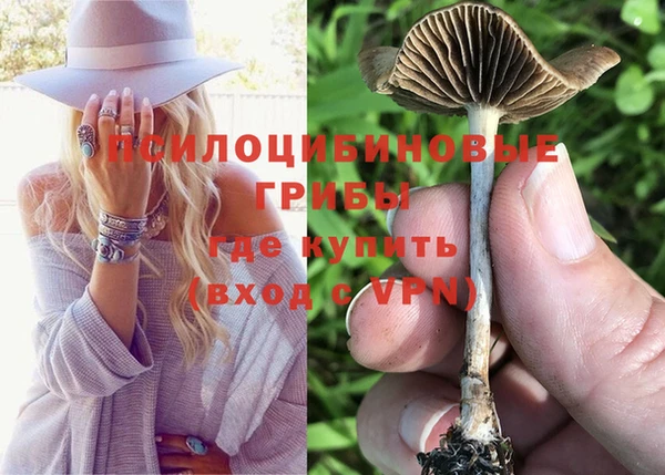 твердый Белоозёрский